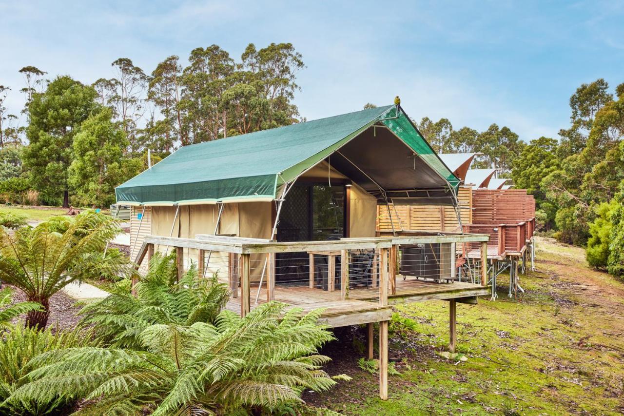 Nrma Port Arthur Holiday Park Eksteriør bilde