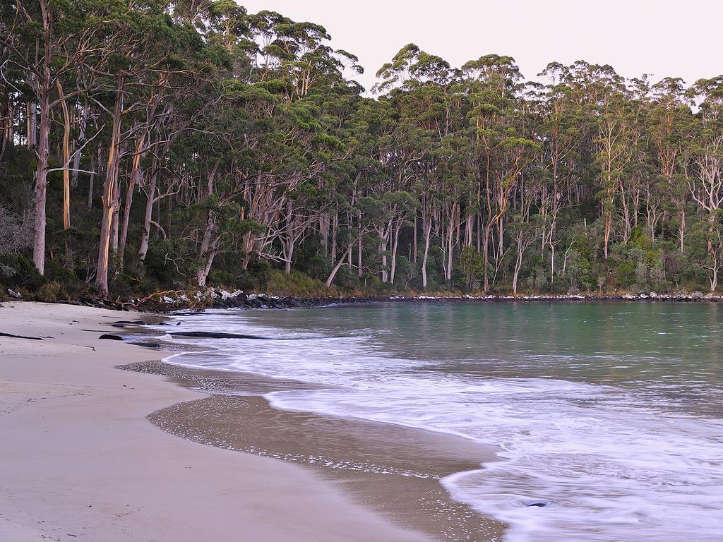 Nrma Port Arthur Holiday Park Eksteriør bilde