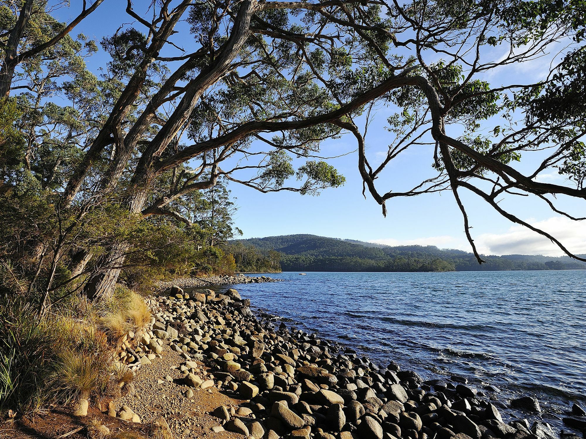 Nrma Port Arthur Holiday Park Eksteriør bilde